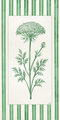 Image Not Available